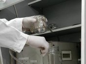 Чехия проверит наличие газа "Новичок"