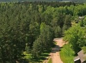 Польша продолжит вырубку деревьев в Беловежской пуще