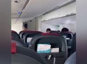 Предложили россиянам воссоединиться с "родной гаванью": украинец взволновал сеть видео из самолета