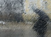 Погода на сегодня: дожди пройдут по всей стране