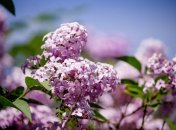 В Украину пришло стабильное тепло