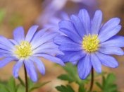 Приметы и обряды на 29 июня - Тихонов день