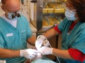 СМИ: Украина стала страной стоматологии для поляков