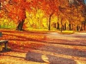 Прогноз погоды в Украине на 16 ноября: по всей стране ожидается переменная облачность