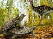 Пережила массовое вымирание: найдены останки древней черепахи