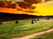 Прогноз погоды в Украине на 9 августа: на западе пройдут дожди