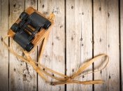 30 декабря 2015, примета дня. Не хотите  немного прозорливости?