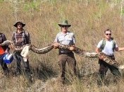 В американском заповеднике обнаружили питона рекордного размера