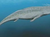 Обнаружен древний кит, который еще выходил на сушу