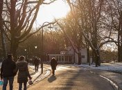 Газ, таможня и водительские права: чего ждать украинцам в ноябре