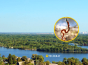 Рыбалка на Трухановом острове была успешной