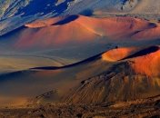 На гавайском вулкане обнаружено 74 новых вида жуков