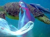 Мусор превращается в новую океаническую экосистему