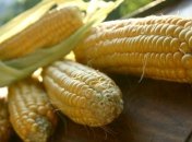 Украина рассчитается с Китаем кукурузой