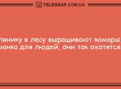 Вспышка отличного настроения с веселыми анекдотами