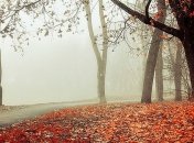 И снова потепление: синоптики порадовали прогнозом погоды на выходные 