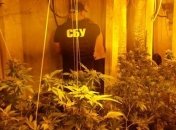 СБУ ликвидировала две мощные нарколаборатории