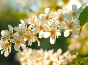 7 августа - праздник, что категорически запрещено делать, главные приметы