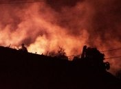 У Каліфорнії вирують лісові пожежі 