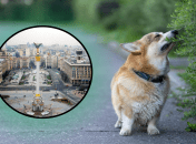 Погода в Киеве