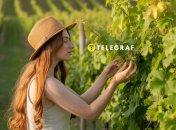 За виноградною лозою треба доглядати грамотно