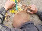 Девушка на Киевщине заявила о изнасиловании отцом