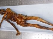 Ученые узнали секрет замерзшей мумии древнего человека Эци