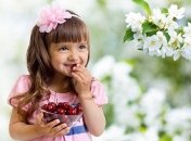 Полезный продукт. Вишня