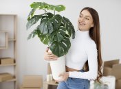 Позаботьтесь о своих вазонах, и они отблагодарят вас пышной зеленью и цветением