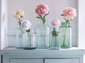 Пионы бывают разных видов