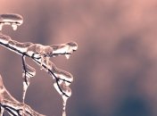 Дожди, ветер и мороз: какой будет погода в Украине на последней неделе ноября