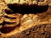 Ученые: в Канаде найдены древние следы человека