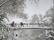 Прогноз погоды на 30 января: в Украине будет тепло и сыро 