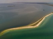 На Кінбурнській косі зацвіло найбільше в Європі поле диких орхідей