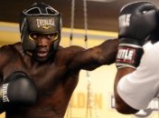 Уайлдер: Дэвид Хэй должен оставаться на пенсии