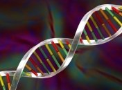 На ДНК рассмотрели прыгающие супервитки