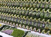 Число жертв крушения парома "Севоль" превысило 180 человек 