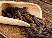 Профилактика с огоньком: как защитить себя от рака