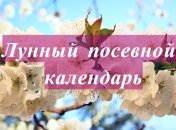 Лунный посевной календарь с 6 по 12 апреля 2020 года