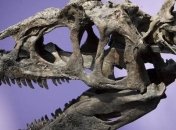Останки самого древнего аллозавра Земли нашли в США