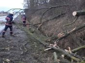 Непогода в Украине: обесточены почти 50 населенных пунктов