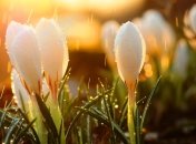 Украину накрывают дожди