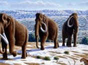 Австралийские ученые назвали причину исчезновения мамонтов