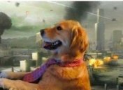 Багато хто з нас зараз працює саме так — у перервах між відключеннями світла