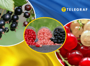 Коллаж "Телеграфа"