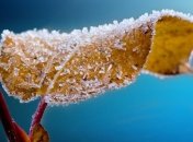 Прогноз погоди: В Україні очікуються похолодання