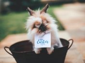 Трогательные поздравления с Пасхой 2022 с пожеланиями мира: яркие открытки и картинки