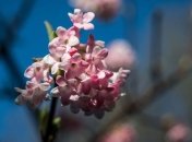 Тепло возвращается в Украину