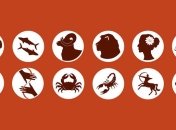 Гороскоп на 14 мая для всех знаков зодиака