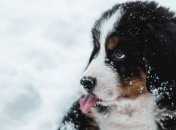 Потеплеет до +7: украинцев предупредили о резком изменении погоды